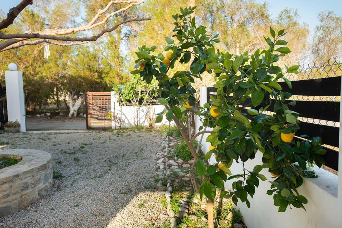 Afrathias Beachhouse - Cretan Hideaway Καλαμάκι Εξωτερικό φωτογραφία